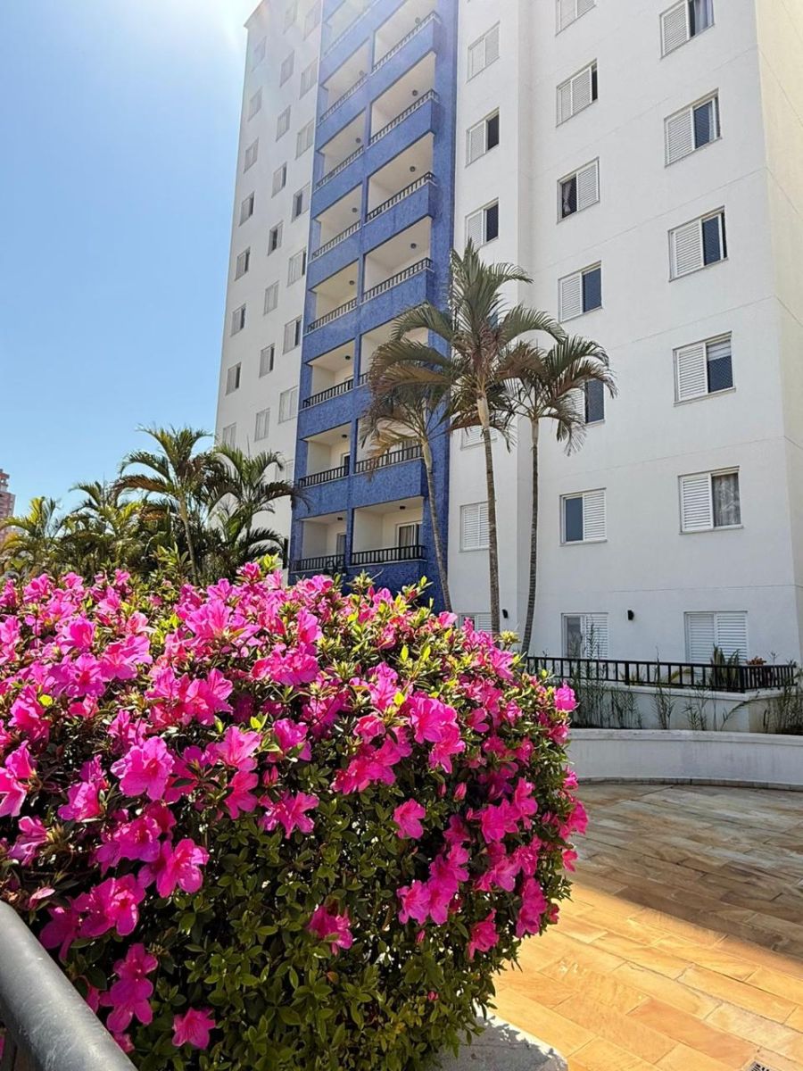 Apartamento - Venda - Ponte de São João - Jundiaí - SP