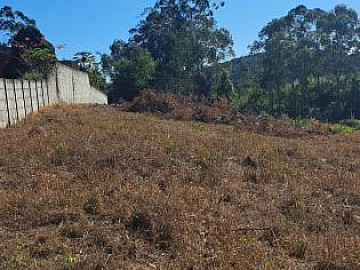Terreno � Venda no Bairro Col�nia